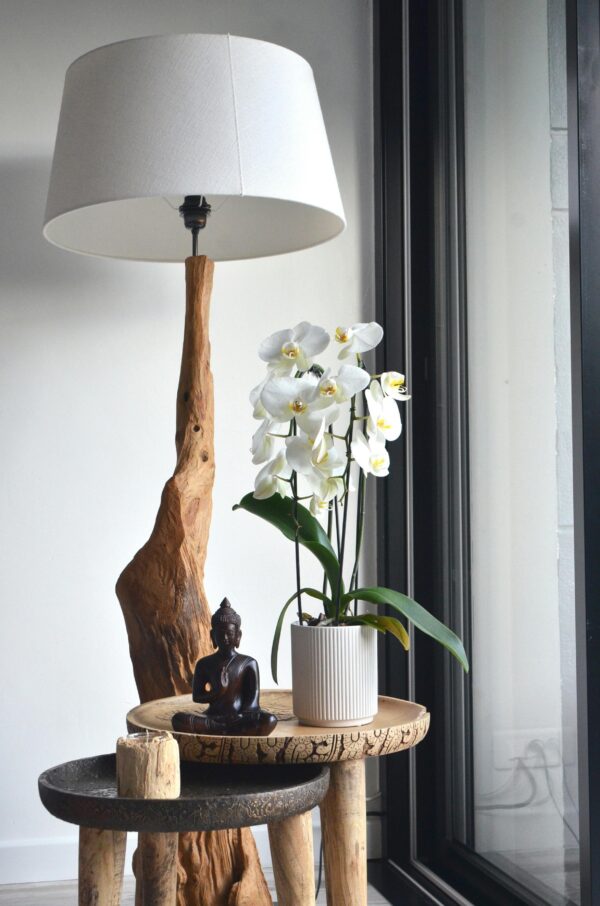 Elegant white potted orchid flowers placed on small wooden table with Buddha statuette and candle near creative lamp in modern apartment